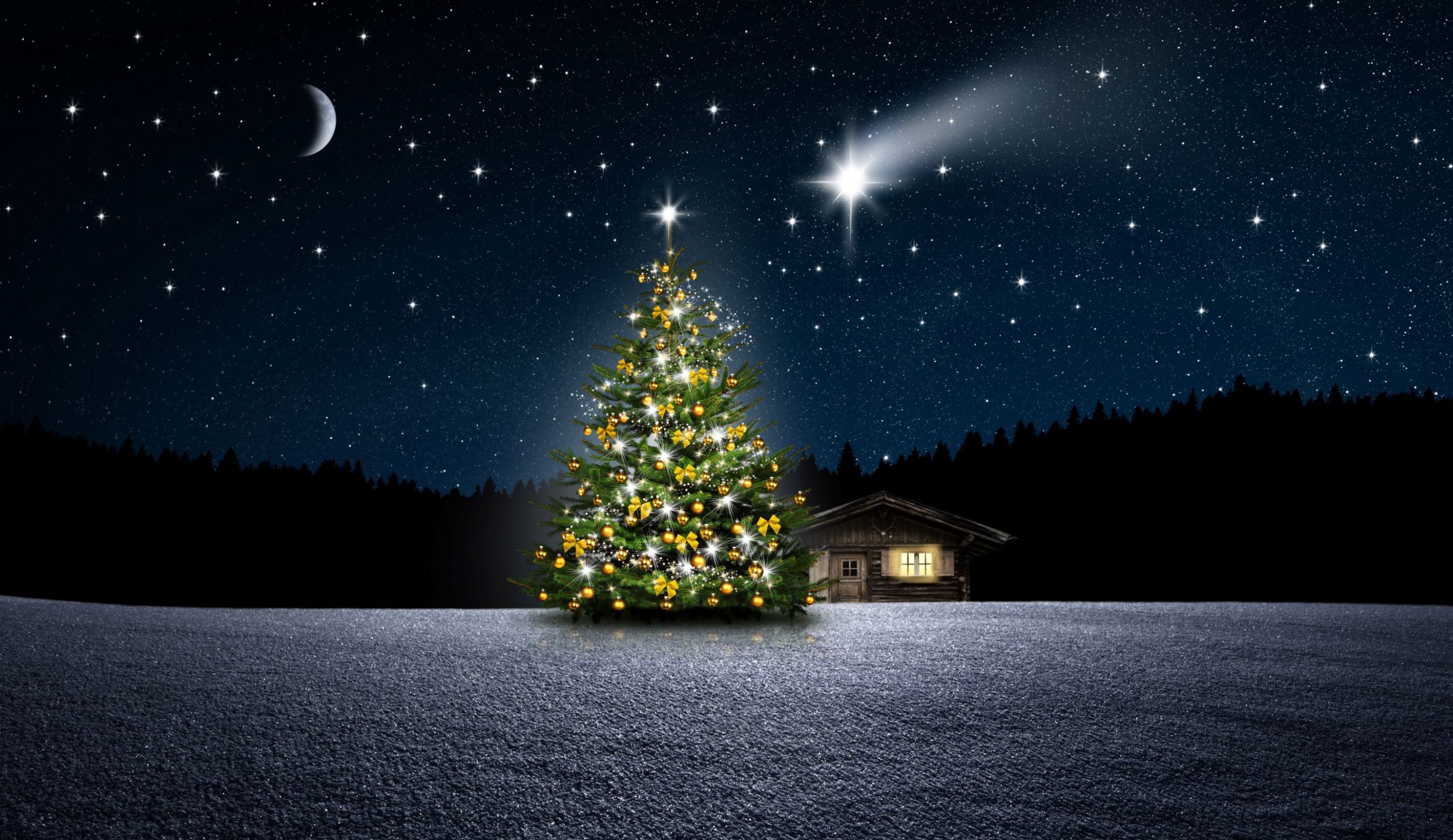 Holz-Schröer Weihnachtsbaumverleih Holz-Schröer Weihnachtsbaum Verleih
